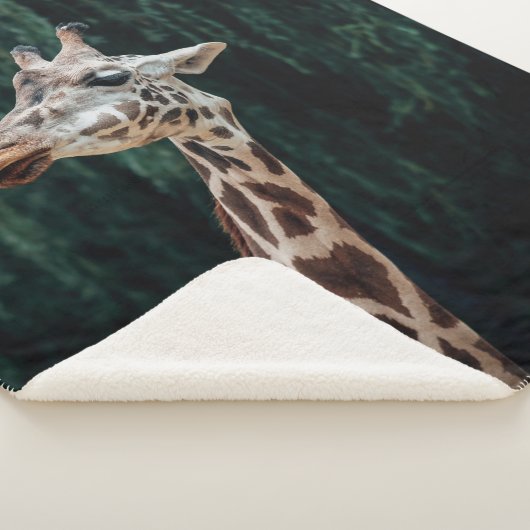 NIEDLICH GIRAFFE PORTRAIT SHERPADECKE (3/4)