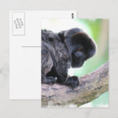 Niedlich Goeldi Postkarte (Vorne/Hinten)