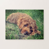 Niedlich Golden Doodle Jigsaw Puzzle (Horizontal)