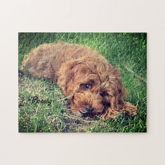 Niedlich Golden Doodle Jigsaw Puzzle (Horizontal)