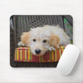 Niedlich Golden Doodle Puppy Mousepad (Mit Mouse)