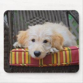 Niedlich Golden Doodle Puppy Mousepad