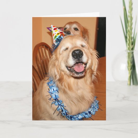 Niedlich Golden Retriever Birthday Wünsche Karte (Vorderseite)