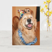 Niedlich Golden Retriever Birthday Wünsche Karte (Gelbe Blume)