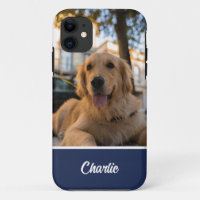 Niedlich Golden Retriever