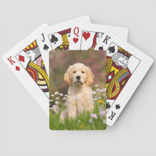 Niedlich Golden Retriever Dog Welpe Foto Portrait Spielkarten