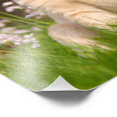 Niedlich Golden Retriever Doppy Welpe - Paperprint Fotodruck (Ecke)