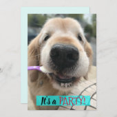 Niedlich Golden Retriever Eis Creme Party Einladung (Vorne/Hinten)