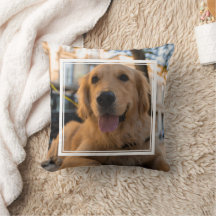Niedlich Golden Retriever