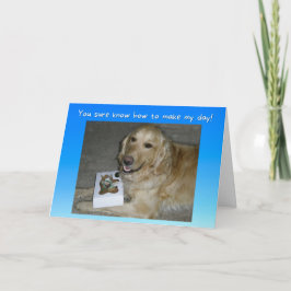 Niedlich Golden Retriever mit Leckereien Vielen Da Karte