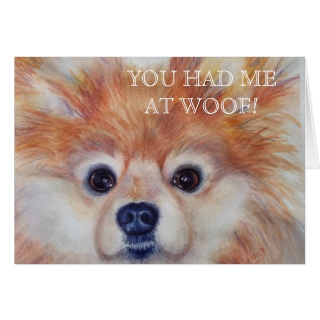 NIEDLICH GOLDEN SPITZ (Vorderseite (Horizontal))