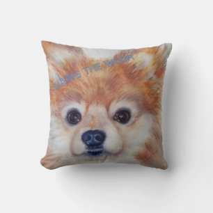NIEDLICH GOLDEN SPITZ KISSEN