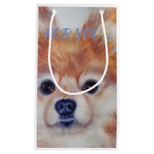 NIEDLICH GOLDEN SPITZ KLEINE GESCHENKTÜTE (Vorderseite)