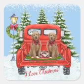 Niedlich Goldendoodle Welpen Vintager Rotlastwagen Quadratischer Aufkleber (Vorderseite)