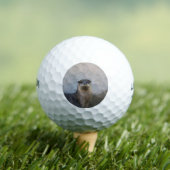 Niedlich Golfball (Insitu T-Shirt)