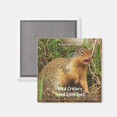 Niedlich Gopher Prairie-dogs Wildlife Magnete Magnet (Vorderseite/Rückseite)