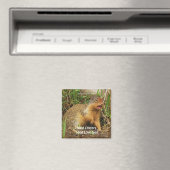 Niedlich Gopher Prairie-dogs Wildlife Magnete Magnet (In Situ (Geschirrspüler))