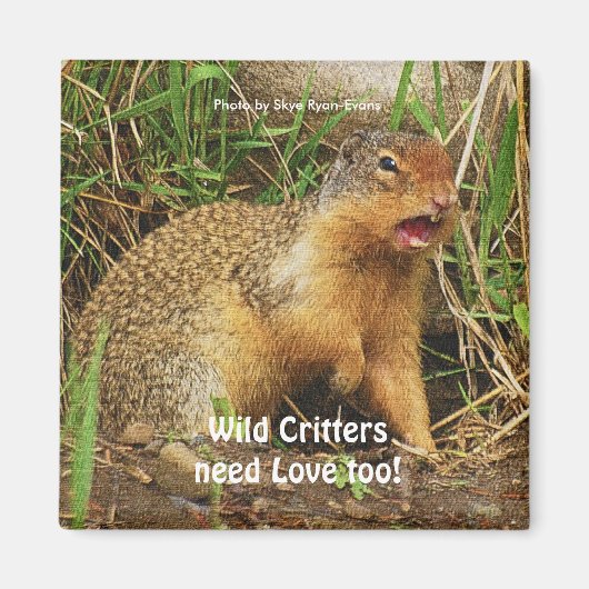 Niedlich Gopher Prairie-dogs Wildlife Magnete Magnet (Vorne)