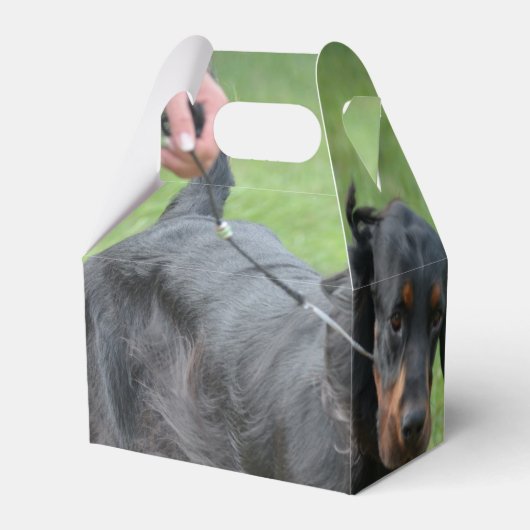 Niedlich Gordon Setter Geschenkschachtel (Rückseite)