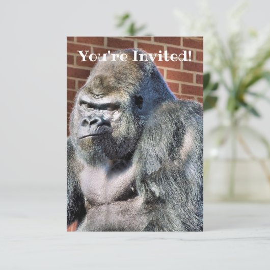 NIEDLICH GORILLA ANKÜNDIGUNG (Stehend Vorderseite)