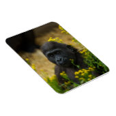 Niedlich Gorilla Baby Magnet (Rechte Seite)