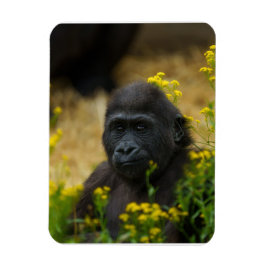 Niedlich Gorilla Baby Magnet