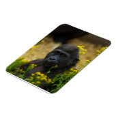 Niedlich Gorilla Baby Magnet (Linke Seite)