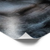 NIEDLICH GORILLA FOTODRUCK (Ecke)