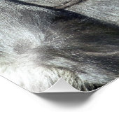 NIEDLICH GORILLA FOTODRUCK (Ecke)