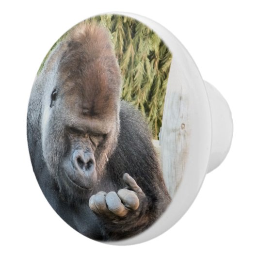 NIEDLICH GORILLA KERAMIKKNAUF (Rechts)