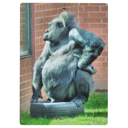 NIEDLICH GORILLA KLEMMBRETT (Rückseite)