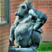 NIEDLICH GORILLA KLEMMBRETT