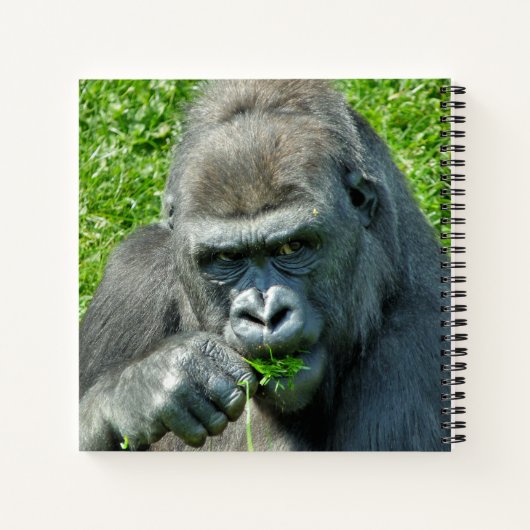 NIEDLICH GORILLA NOTIZBUCH (Rückseite)