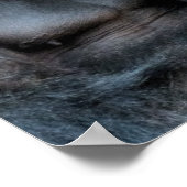 NIEDLICH GORILLA POSTER (Ecke)