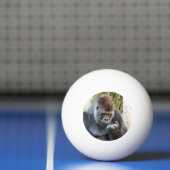 NIEDLICH GORILLA TISCHTENNISBALL (Netto)