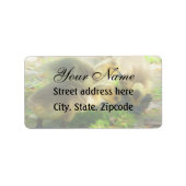 Niedlich Gosling Adressaufkleber (Vorne)