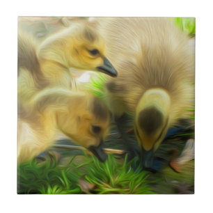 Niedlich Gosling Fliese