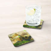 Niedlich Gosling Getränkeuntersetzer (Rechte Seite)