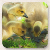 Niedlich Gosling Getränkeuntersetzer (Vorderseite)