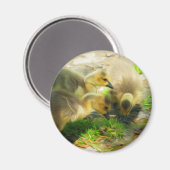 Niedlich Gosling Magnet (Vorderseite/Rückseite)