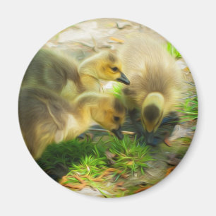 Niedlich Gosling Magnet