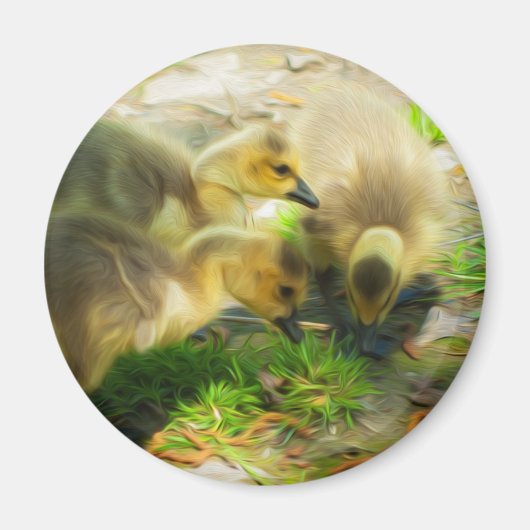 Niedlich Gosling Magnet (Vorne)