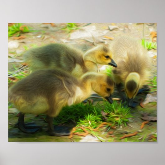 Niedlich Gosling Poster (Vorne)