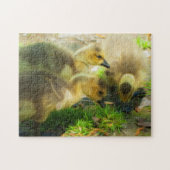 Niedlich Gosling Puzzle (Horizontal)