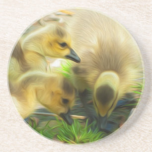 Niedlich Gosling Sandstein Untersetzer