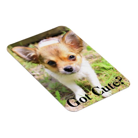 Niedlich got? Welpe Magnet (Rechte Seite)