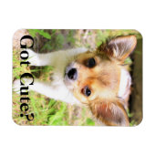 Niedlich got? Welpe Magnet (Horizontal)