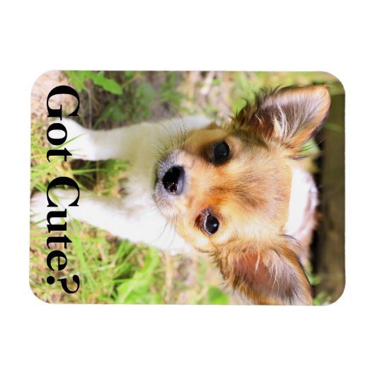 Niedlich got? Welpe Magnet (Horizontal)