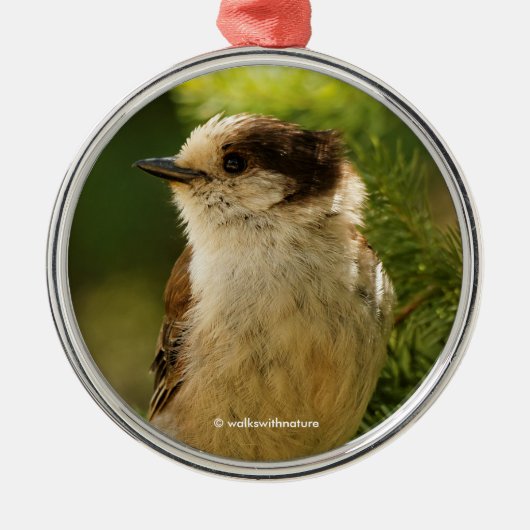 Niedlich Grau Jay Whiskeyjack Songbird Ornament Aus Metall (Vorne)