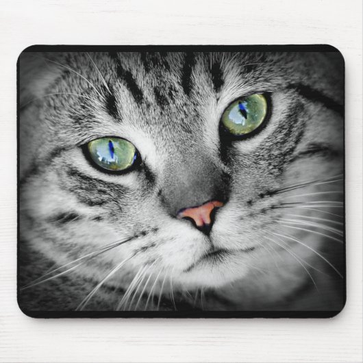 Niedlich Grau Kitty Cat Face Mouse Pad Mousepad (Vorne)
